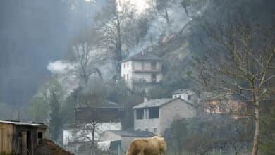 Siguen 95 incendios activos en Asturias