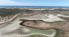 La guerra por la última gota de Doñana