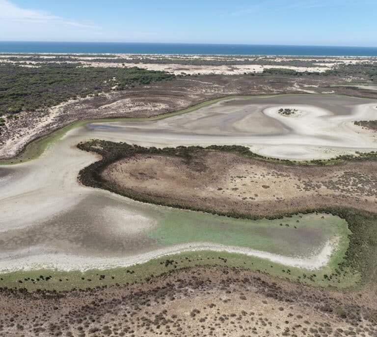 La guerra por la última gota de Doñana