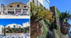 CaixaForum celebra sus dos décadas con el primer bosque vertical