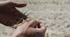 El campo sacude "el monopolio de Agroseguro" por aumentar un 30% el precio de las pólizas