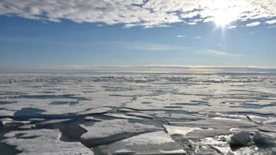 Los últimos ocho años, los más cálidos de la historia y las temperaturas seguirán al alza