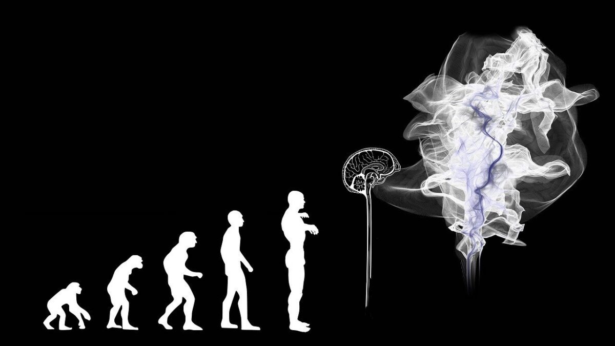 Imagen de Evolución, Inteligencia artificial y Cerebro
