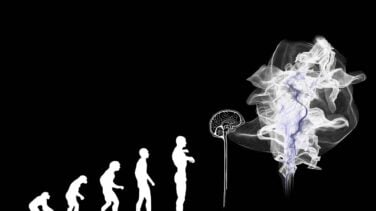 Cada vez somos menos inteligentes