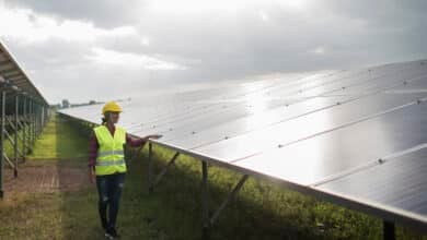 La paradoja de las plantas fotovoltaicas: en récord de generación pero limitadas por las olas de calor