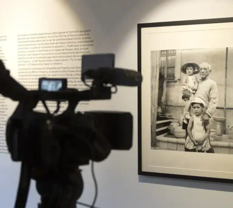 Luis Miguel, Picasso y Miguelito Bosé: "Te empeñas en que sea maricón"