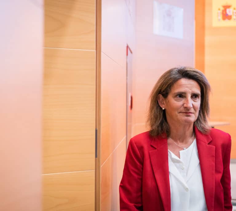 Ribera urge a Juanma Moreno a retirar el proyecto de regadíos de Doñana