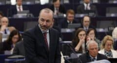 El presidente del PPE acusa a Bruselas de hacer "campaña por Sánchez" con Doñana