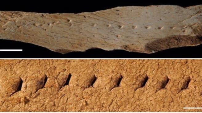 El soporte de hace 39.600 años encontrado en el yacimiento de los Canyars y una réplica de la técnica de perforación para hacer una costura lineal