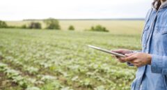 La agroindustrialización: el futuro del sector agroalimentario