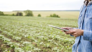 La agroindustrialización: el futuro del sector agroalimentario