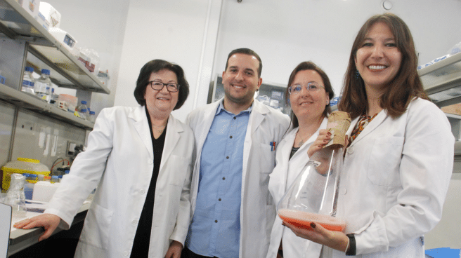 Los científicos del grupo de investigación de Bioquímica Aplicada de la Universidad de Alicante que han hallado un pigmento anticancerígeno en las salinas de Santa Pola