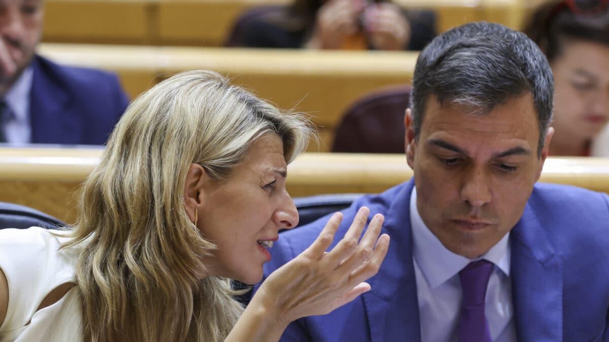 Siga en directo el cara a cara de Sánchez y Feijóo en el Senado