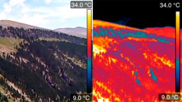 Los desconocidos refugios naturales del Pirineo donde las plantas son inmunes al cambio climático
