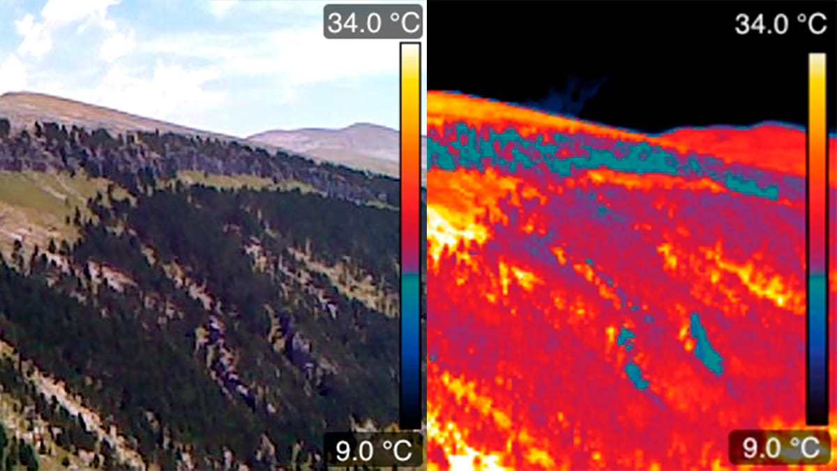 Refugios climáticos en el Pirineo