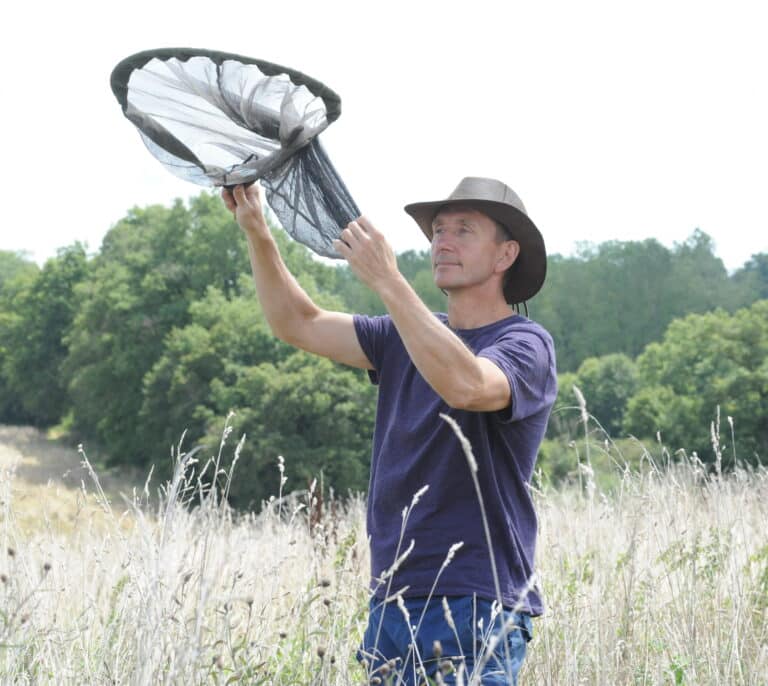 "Moscas, mosquitos, chinches y cucarachas se adaptarán mejor al cambio climático"