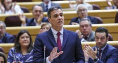 Sánchez a Feijóo: "Cuando en España ETA no es nada, para el PP, ETA es todo"