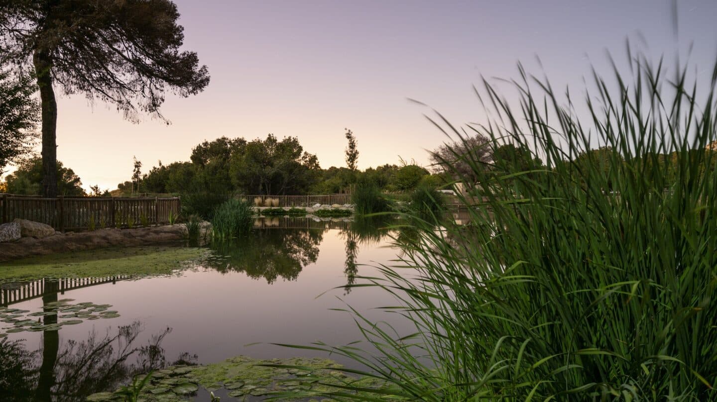 Parque de El Recorral en Rojales, Alicante.