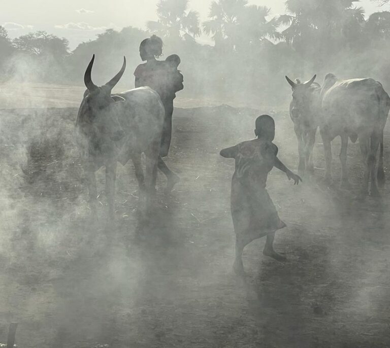 Sudán del Sur, un país en construcción