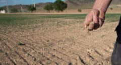 SOS Rural denuncia presiones del Gobierno para no acudir a la manifestación del 14 de mayo