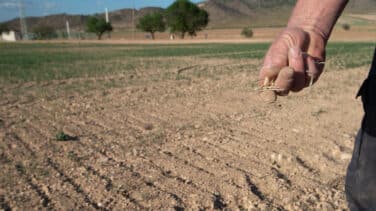 SOS Rural denuncia presiones del Gobierno para no acudir a la manifestación del 14 de mayo