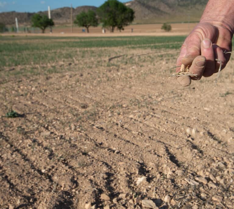 SOS Rural denuncia presiones del Gobierno para no acudir a la manifestación del 14 de mayo