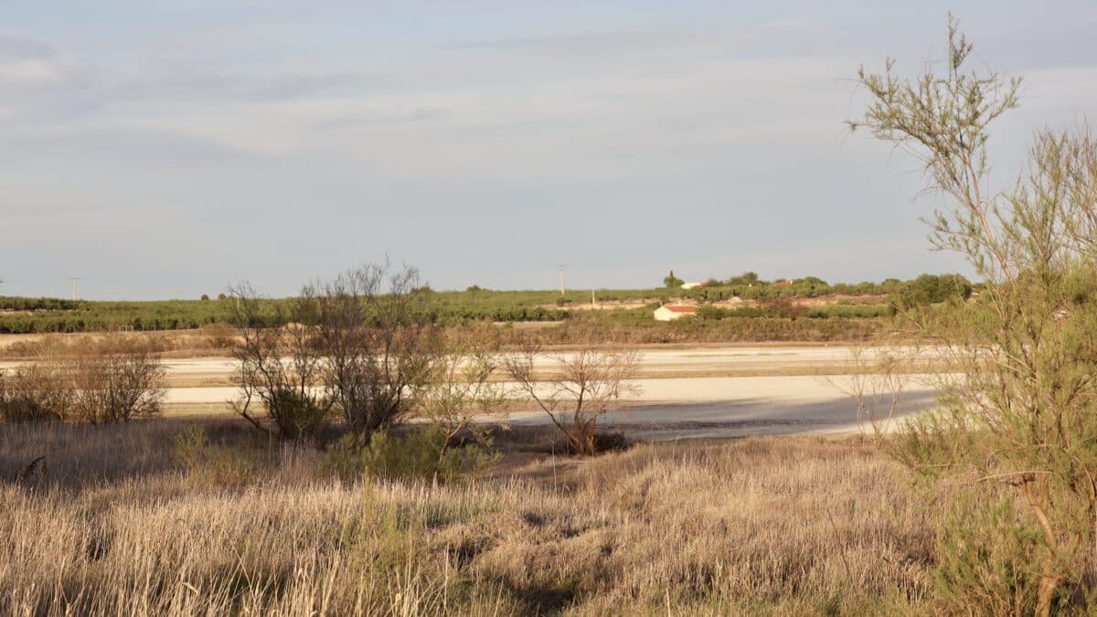 Falta de agua en la laguna del Prado, en Ciudad Real, Castilla-La Mancha (España