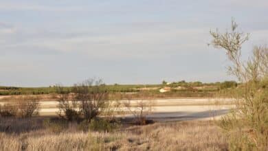 Los interrogantes de los 46 millones de euros por la sequía en Castilla-La Mancha