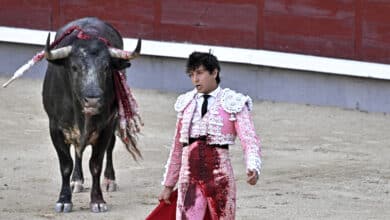 Roca Rey vive su peor tarde en Madrid