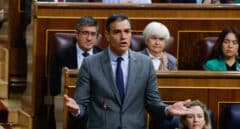 Sánchez, a Bildu: "Se han equivocado con las listas. Falta un mensaje más rotundo de perdón y reparación a las víctimas"