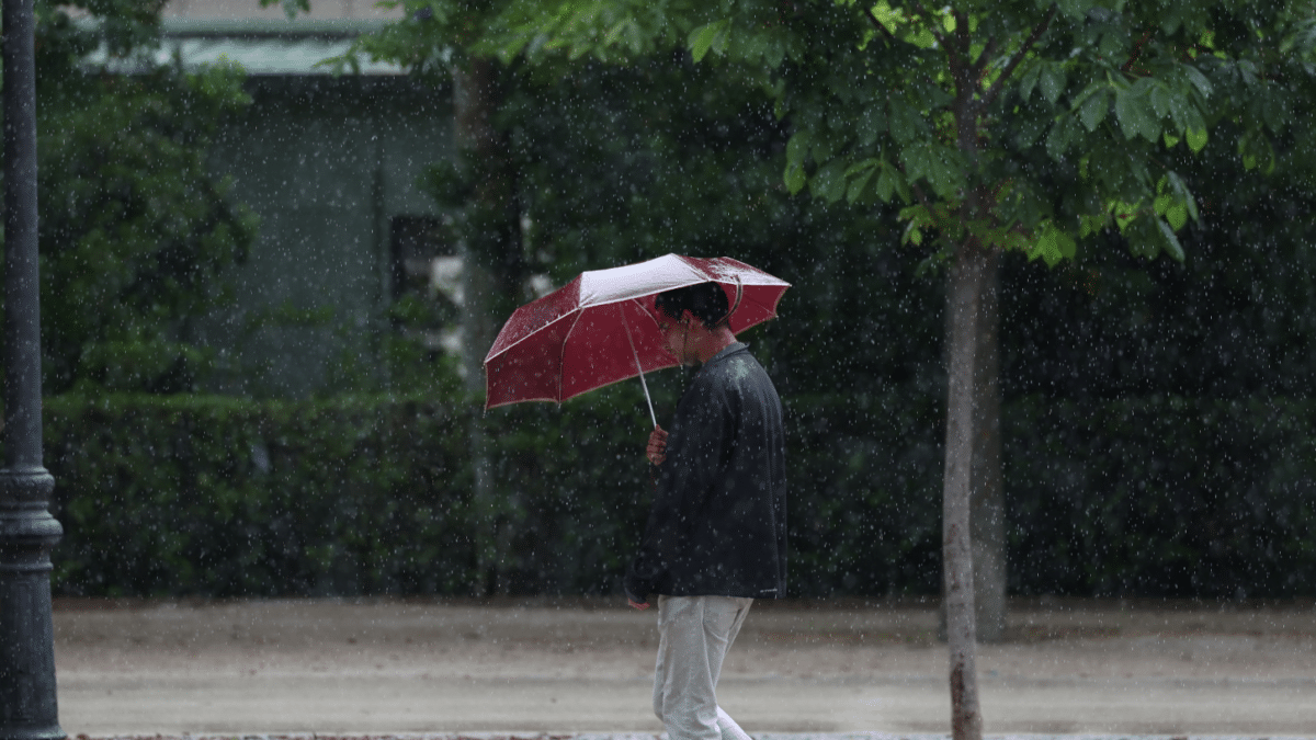 Hombre paseando bajo la lluvia con un paraguas rojo el día de las elecciones