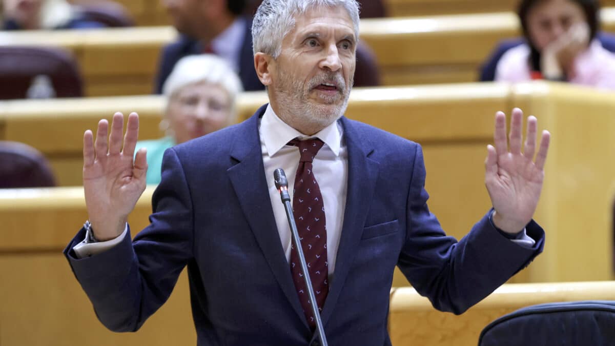 El ministro del Interior, Fernando Grande Marlaska, interviene en la sesión de control celebrada este martes en el pleno del Senado, en Madrid.