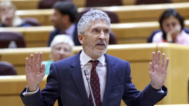 El ministro del Interior, Fernando Grande Marlaska, interviene en la sesión de control celebrada este martes en el pleno del Senado, en Madrid.