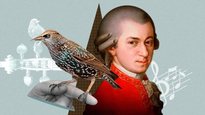 Mozart starling