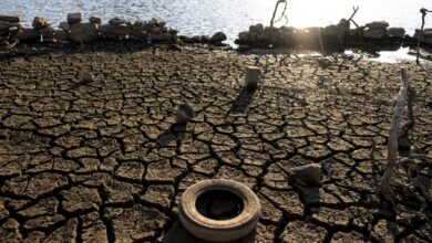 El programa de Podemos contra el calor y la sequía choca con el de Moncloa