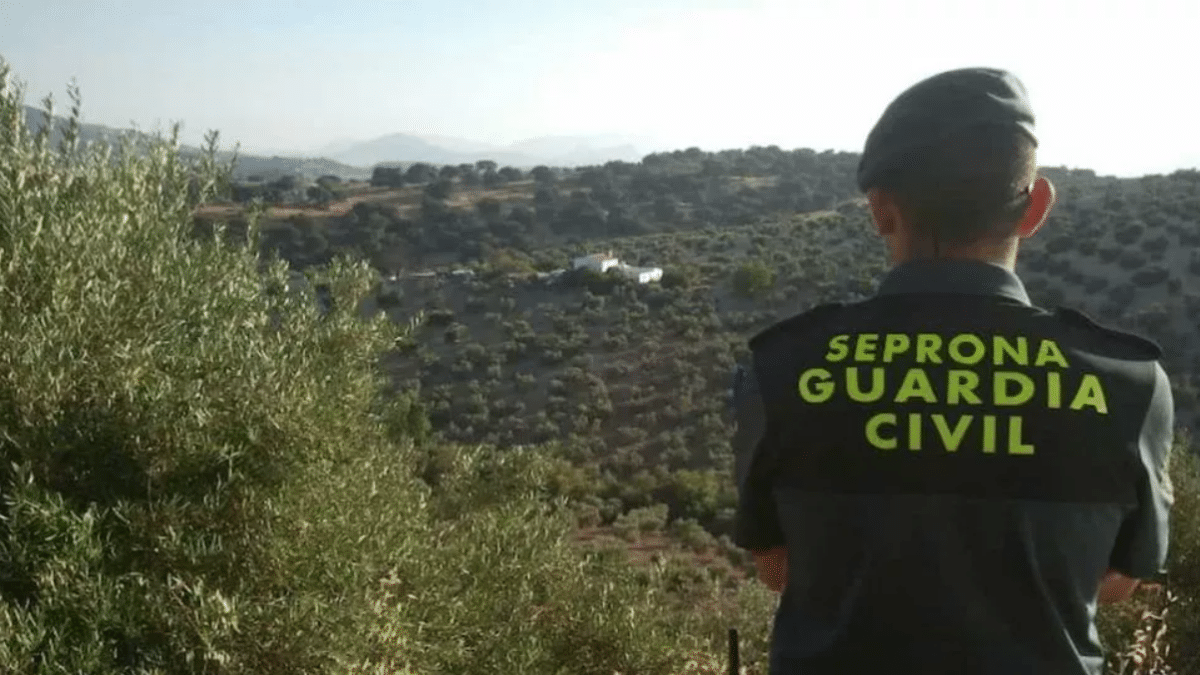 Un agente del Seprona de la Guardia Civil