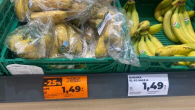 El plátano de Canarias cae a precios de la banana tras costar más de tres euros hace un año