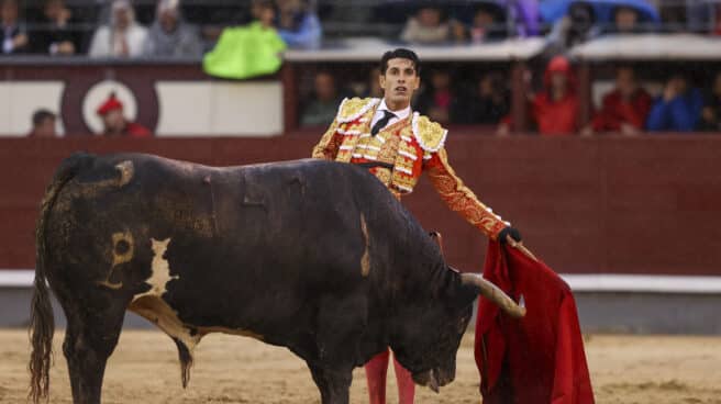 Alejandro Talavante looks at the bull Alcurrusena lying in the slaughterhouse.