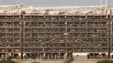 El "barco-establo" que transporta 16.000 vacas continúa su ruta a Egipto al no encontrarse droga en su interior