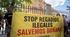 Organizaciones agrarias reclaman infraestructuras hídricas como respuesta a los problemas de los agricultores en Doñana