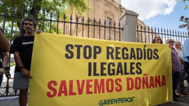 Organizaciones agrarias reclaman infraestructuras hídricas como respuesta a los problemas de los agricultores en Doñana Concentración en las puertas del Parlamento Andaluz, a 13 de junio de 2023
