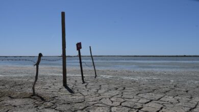 España, el desierto de Europa: "Es un problema irreversible"