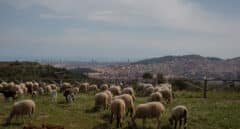 La Ley de Restauración de la Naturaleza enfrenta a agricultores y pescadores con Europa