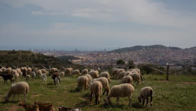 La Ley de Restauración de la Naturaleza enfrenta a agricultores y pescadores con Europa