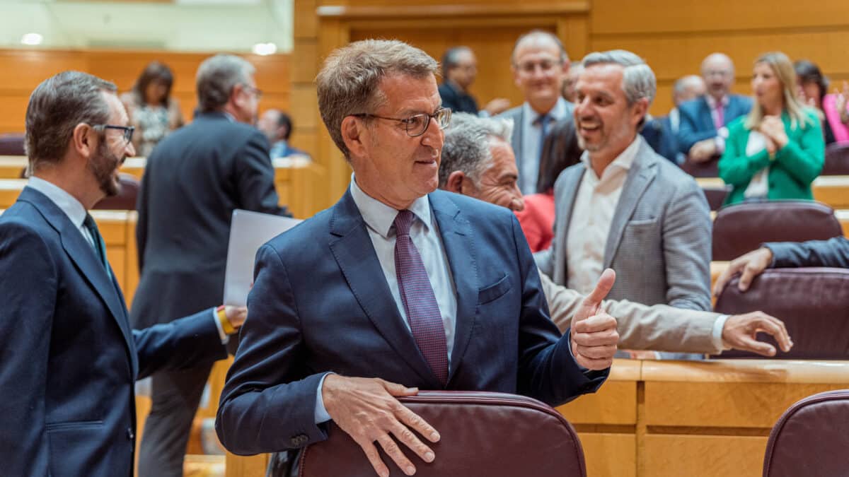 El presidente del Partido Popular, Alberto Núñez Feijóo, durante una sesión plenaria en el Senado.