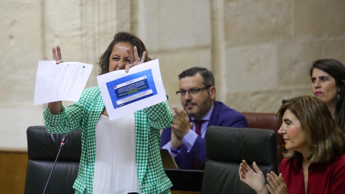 La consejera de Salud y Consumo, Catalina García, durante su intervención responde a las preguntas del grupo socialista.