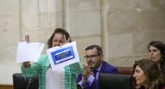 La Junta de Andalucía acusa al Gobierno de "hooligans que van "contra Huelva" por las fresas de Doñana