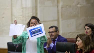 La Junta de Andalucía acusa al Gobierno de "hooligans que van "contra Huelva" por las fresas de Doñana