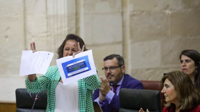 La consejera de Salud y Consumo, Catalina García, durante su intervención responde a las preguntas del grupo socialista. La consejera de Salud y Consumo, Catalina García, durante su intervención responde a las preguntas del grupo socialista.