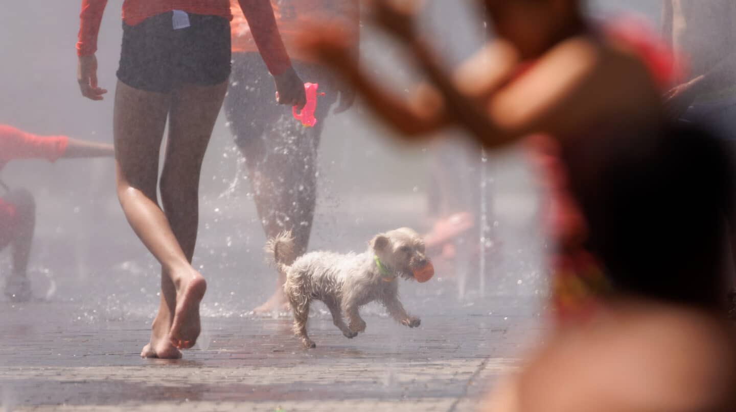 ¿Refugios climáticos o lugares peligrosos? Las dudas de abrir o cerrar los parques durante las olas de calor